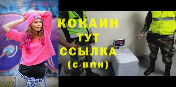 сатива Беломорск