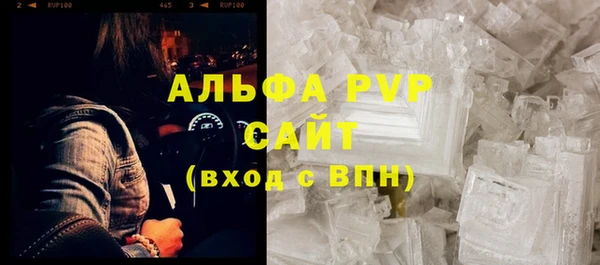ПСИЛОЦИБИНОВЫЕ ГРИБЫ Белокуриха