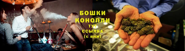 ПСИЛОЦИБИНОВЫЕ ГРИБЫ Белокуриха