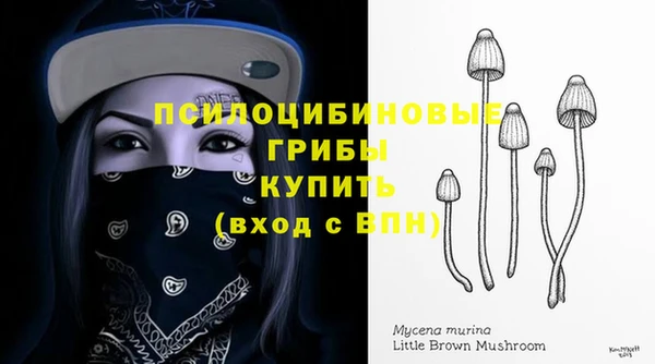 ПСИЛОЦИБИНОВЫЕ ГРИБЫ Белокуриха