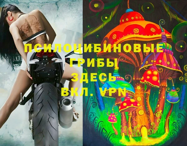 сатива Беломорск