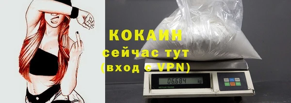 сатива Беломорск