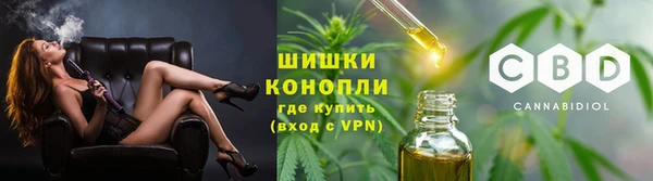 сатива Беломорск