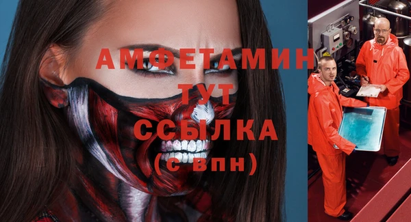 сатива Беломорск