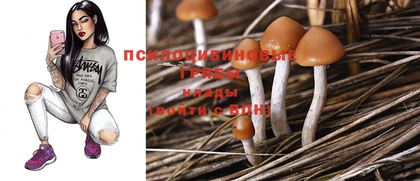 сатива Беломорск