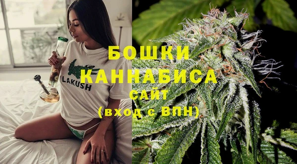 ПСИЛОЦИБИНОВЫЕ ГРИБЫ Белокуриха
