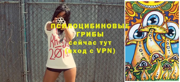 ПСИЛОЦИБИНОВЫЕ ГРИБЫ Белокуриха