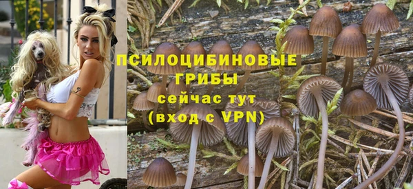 ПСИЛОЦИБИНОВЫЕ ГРИБЫ Белокуриха